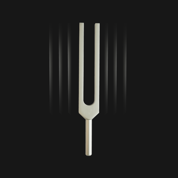 Tuning fork